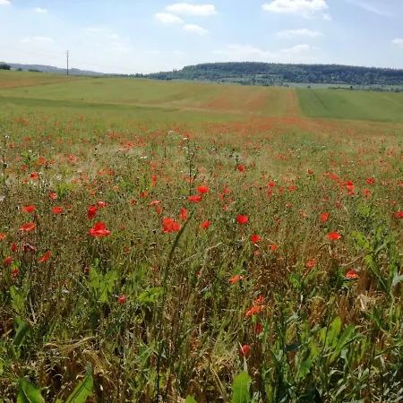 Apartment Ferienwohnung Heimsheim