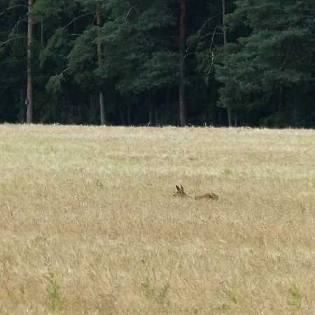 Ferienwohnung Heimsheim * Heimsheim