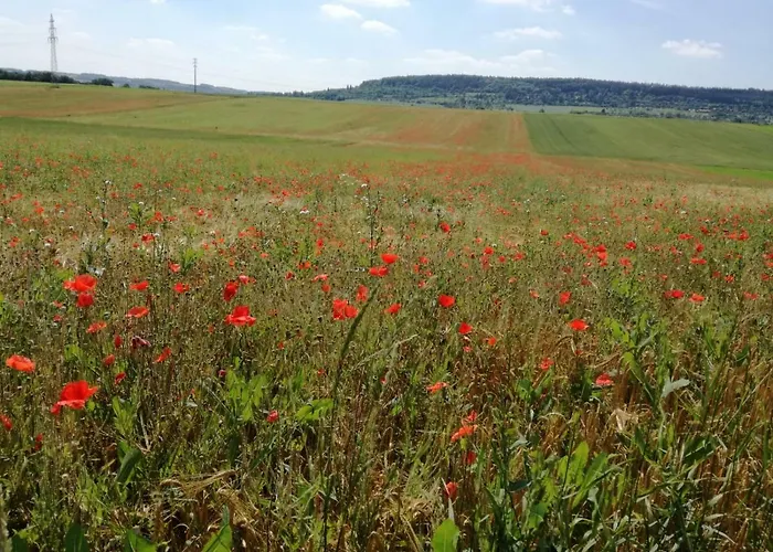 アパート Ferienwohnung Heimsheim