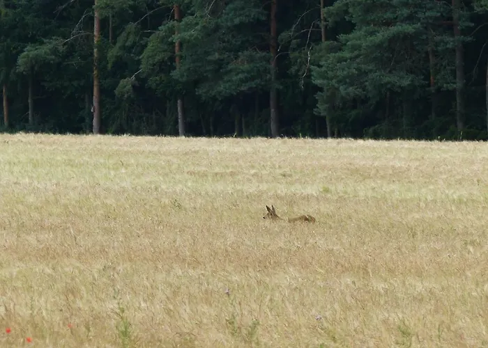 Ferienwohnung Heimsheim * Heimsheim